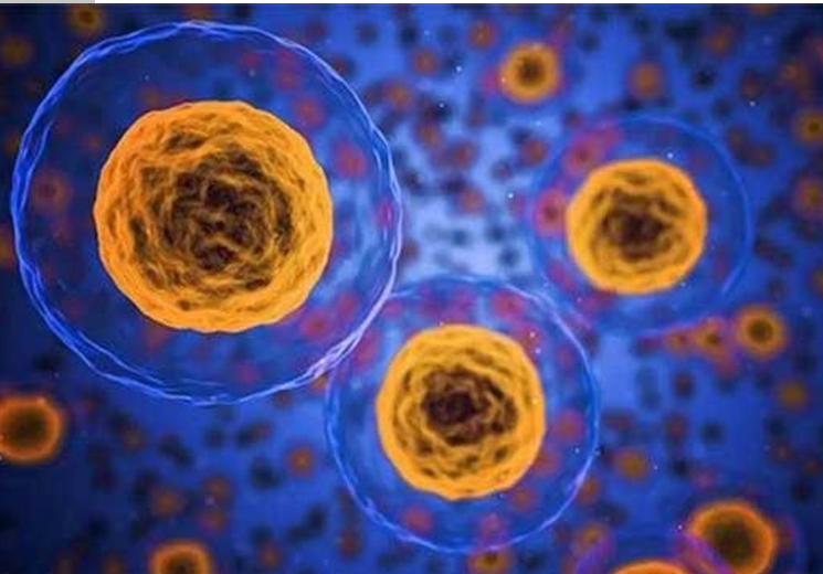 کمک به مطالعه اختلالات روانپزشکی توسط مدل سلول‌های بنیادی